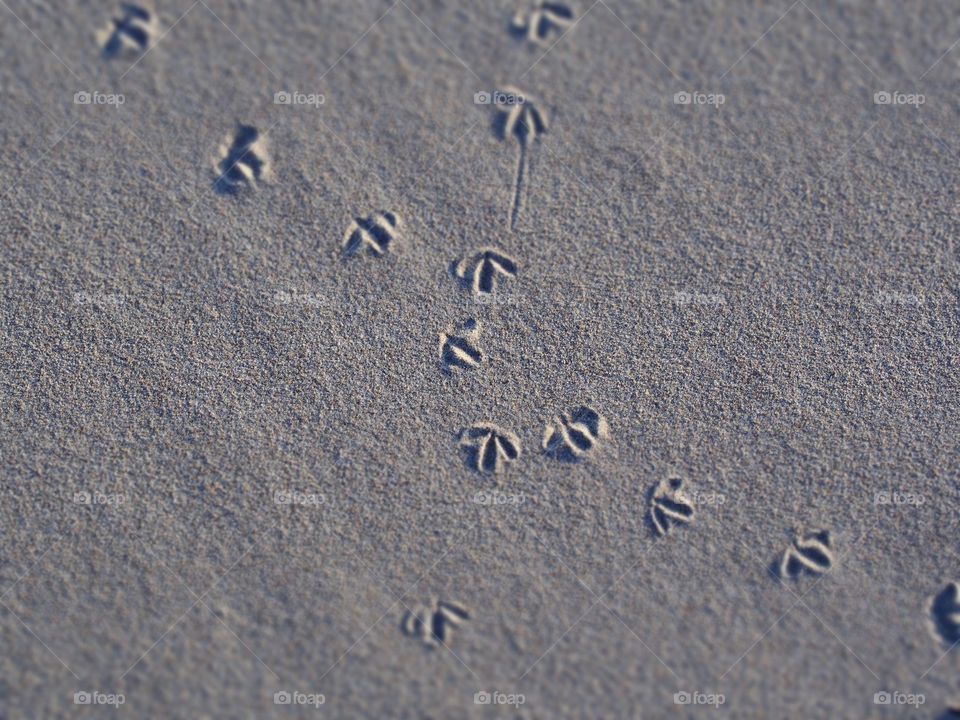 Tiny footprint 😊