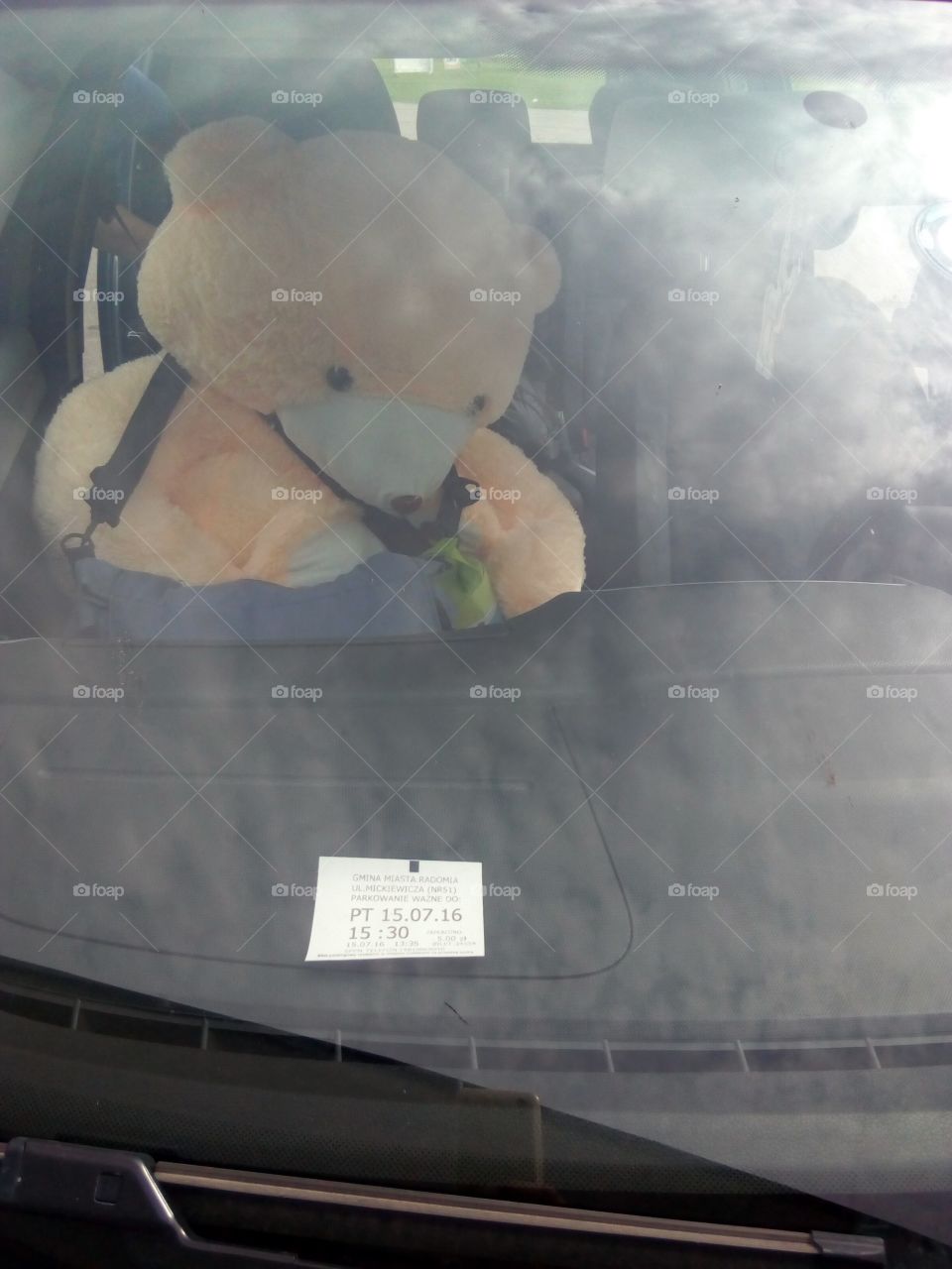 additional passenger