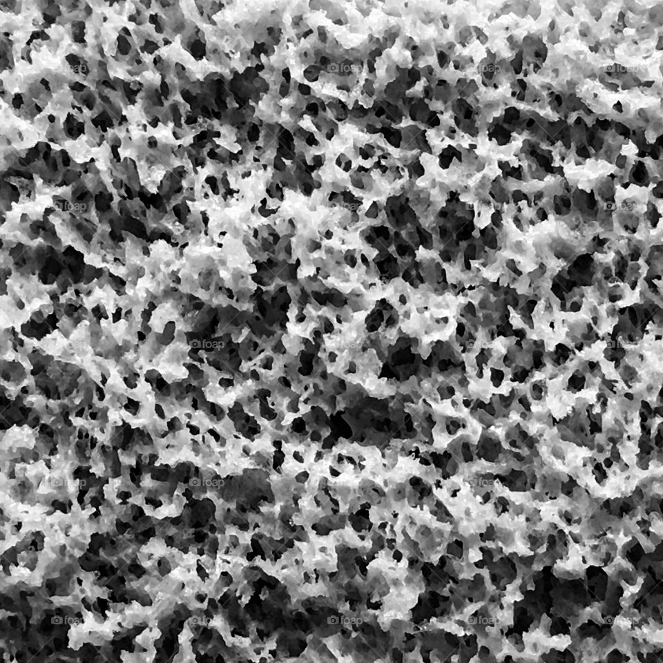 Abstract animal texture