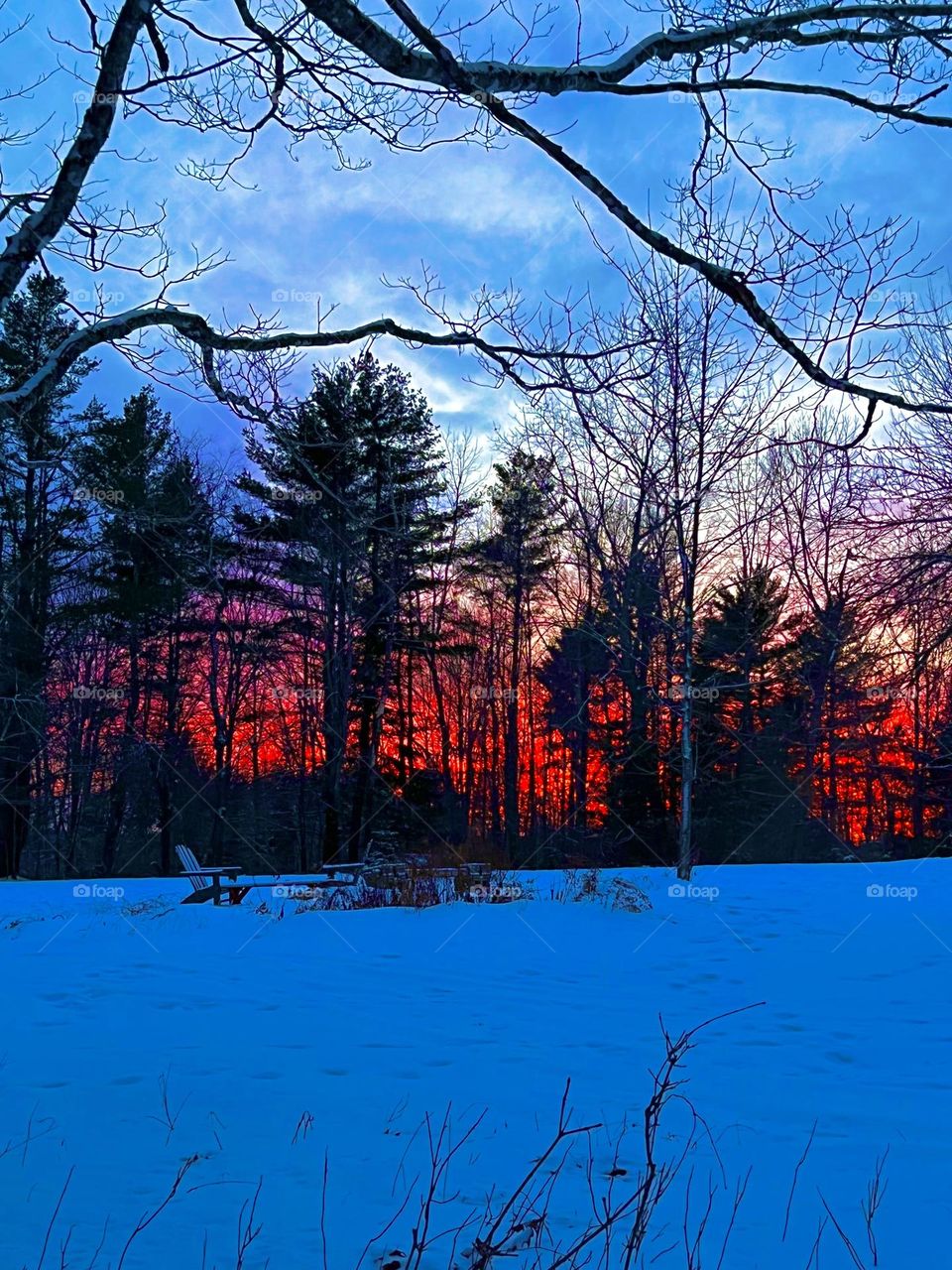 Winter evening in Maine with a bright red sunset in the tree line and Adirondack chairs surrounding a fire pit in snow.