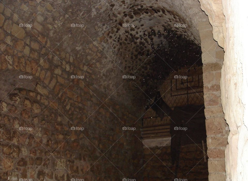 Bats In Akko Temple