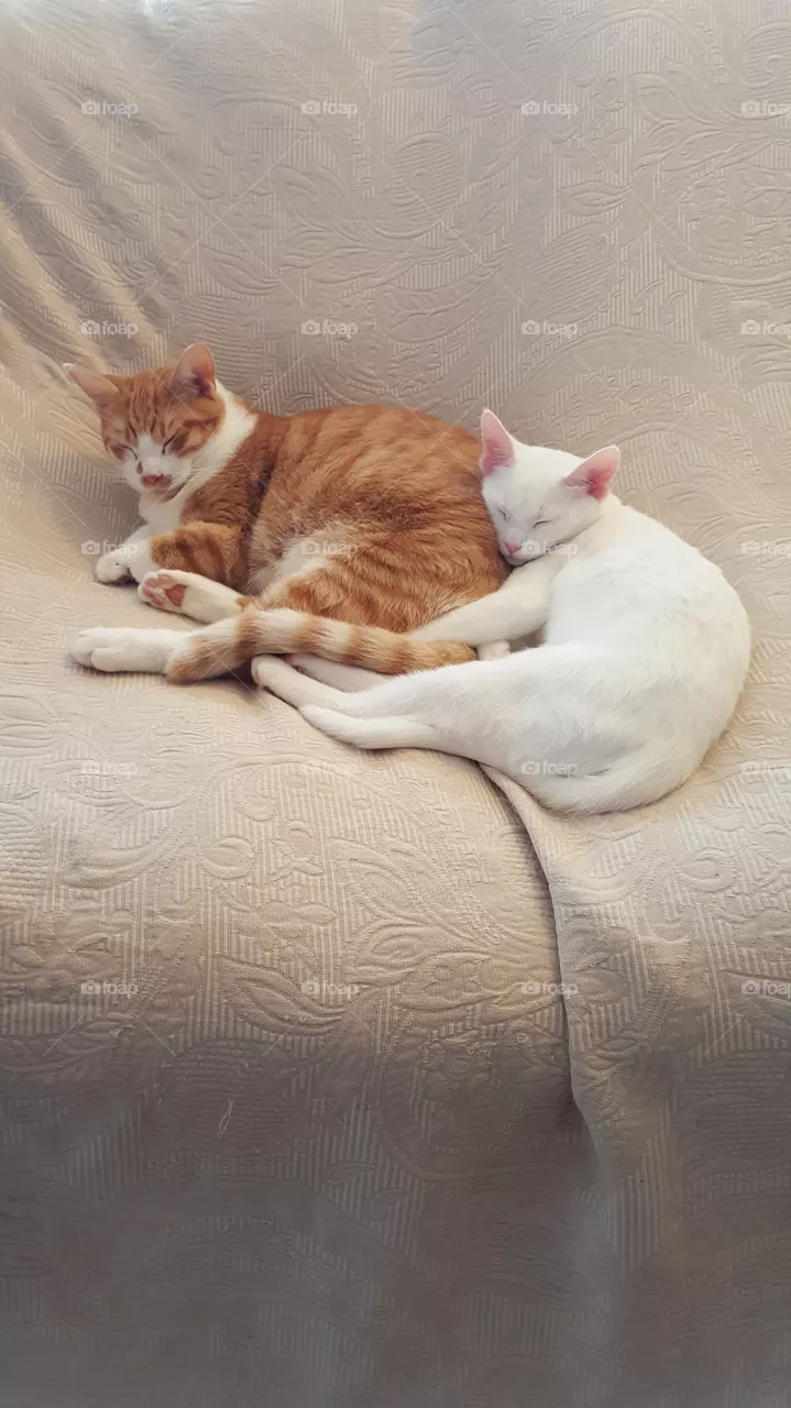 Sleep time!