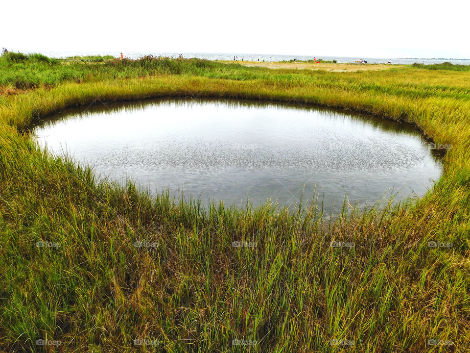 Tidal pool along Long Island Sound 