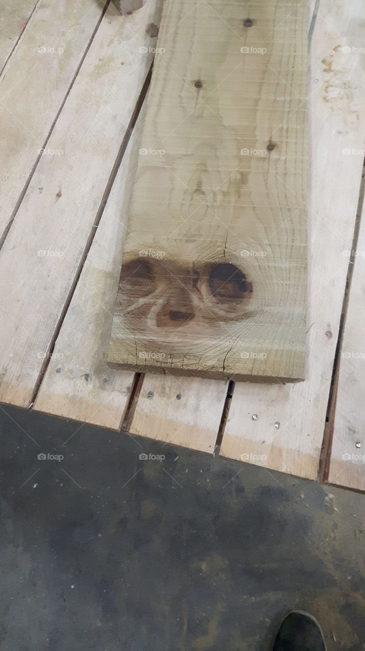 E.T. in wood