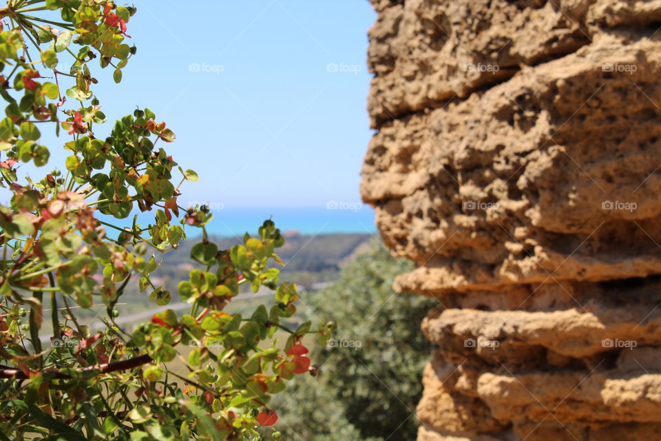 the great see of sicily