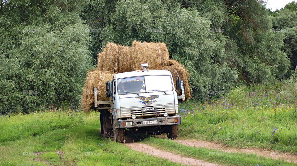 KAMAZ, as a heavyweight, carries hay for animals.