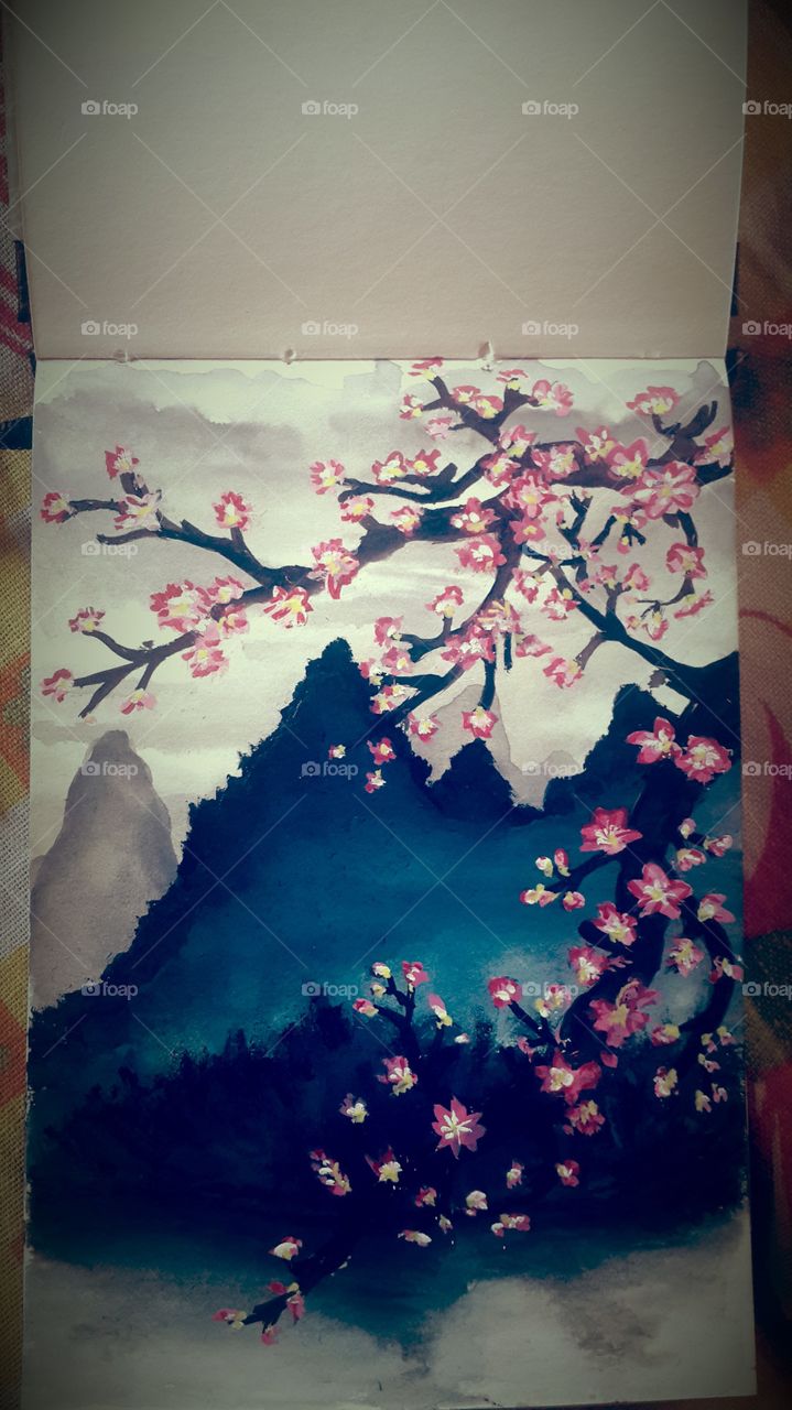 Great drawings and water colours