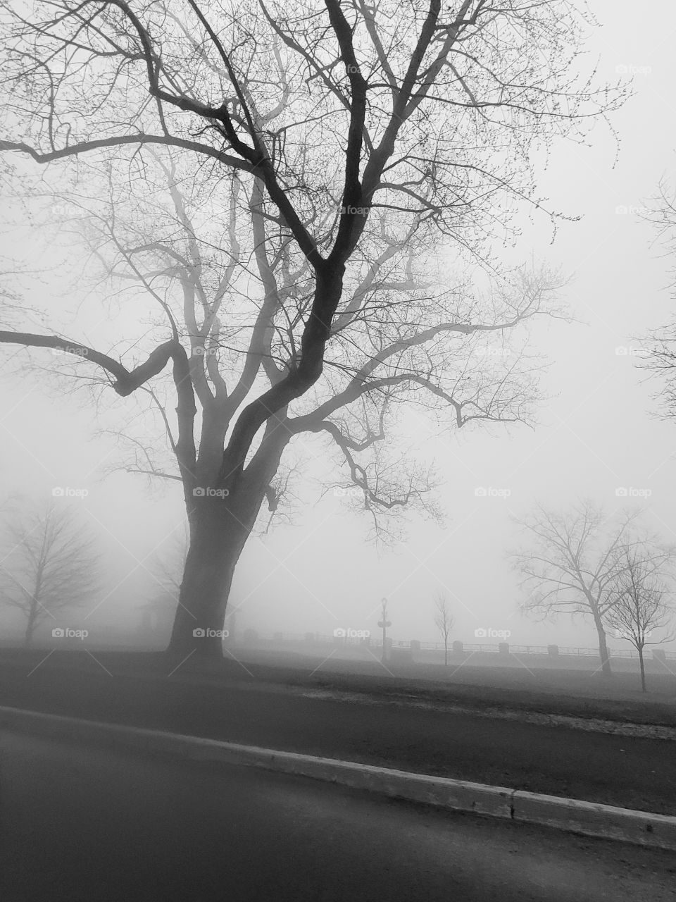 Niagara foggy morning