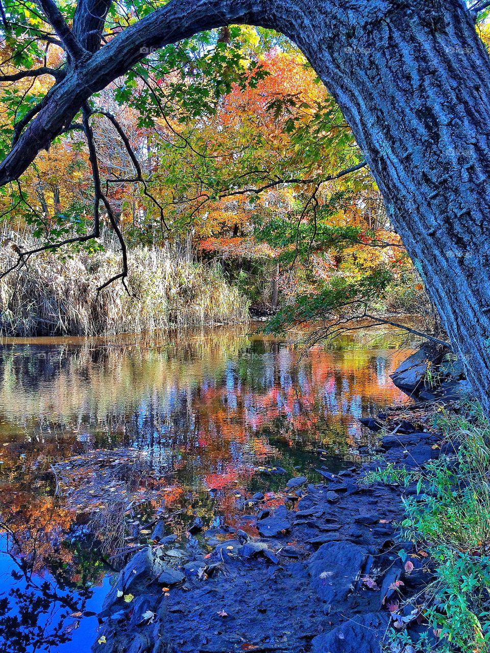 Milford, CT. On my lunch break 