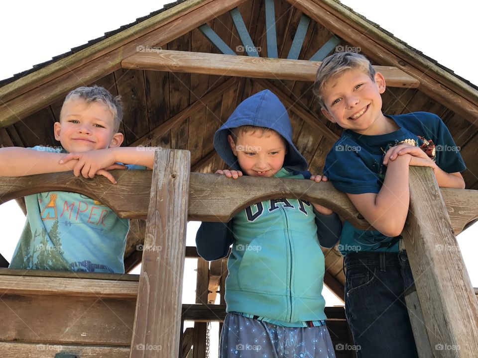 In the treehouse 