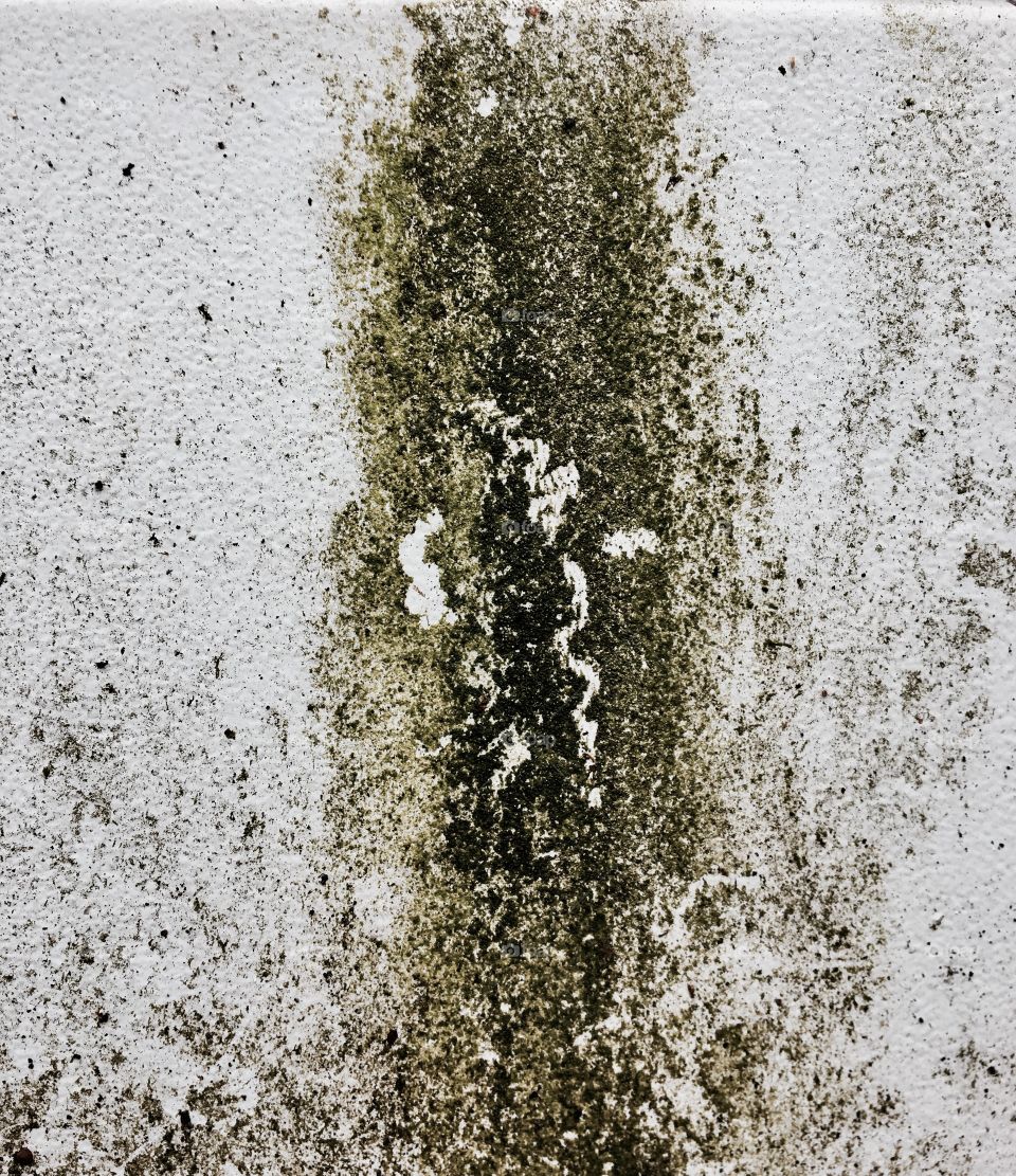 Dirt on wall