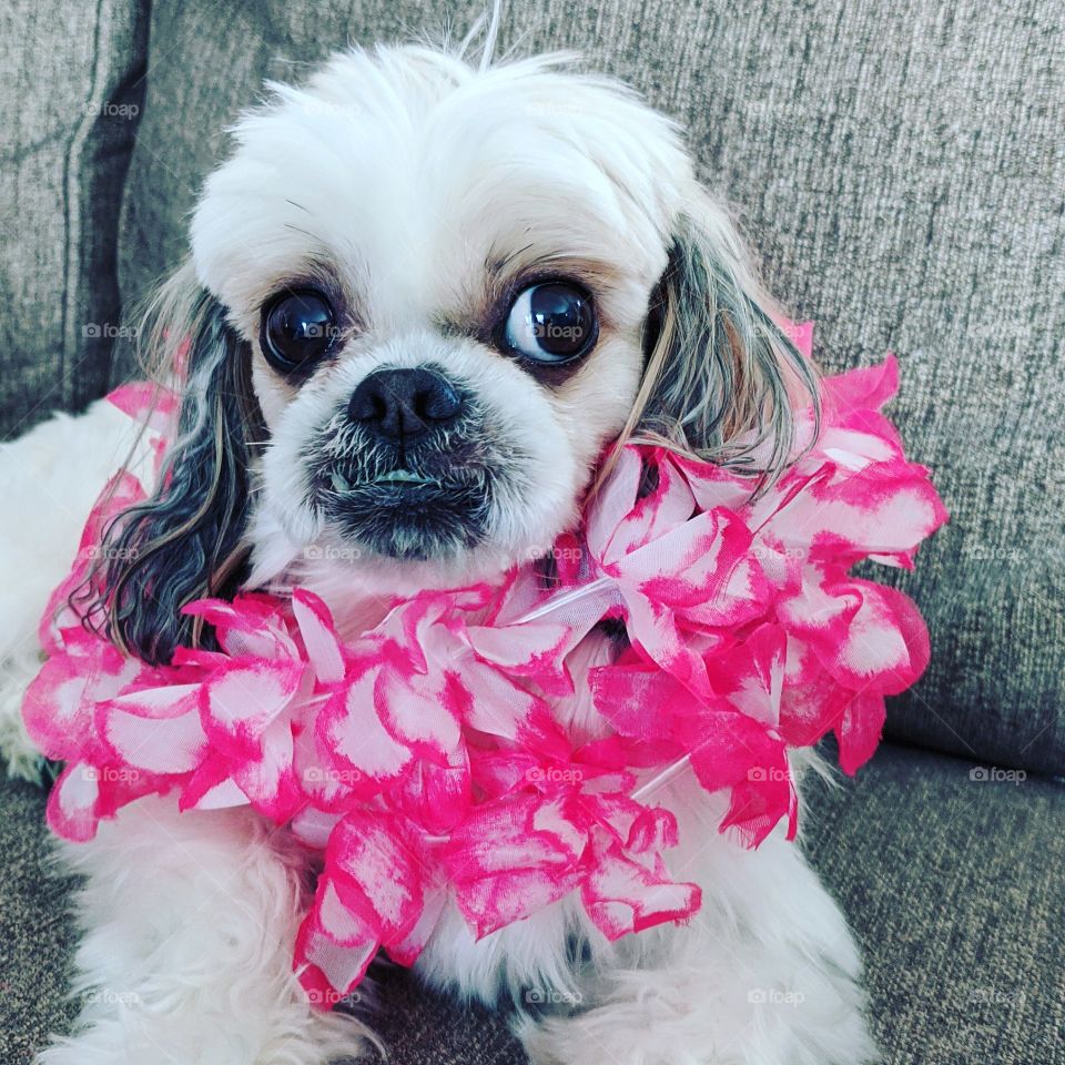 3 weeks in quarantine