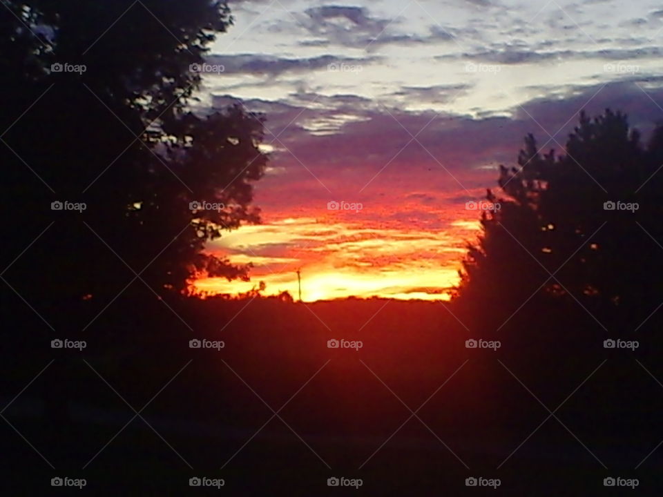 Sunset Beauty