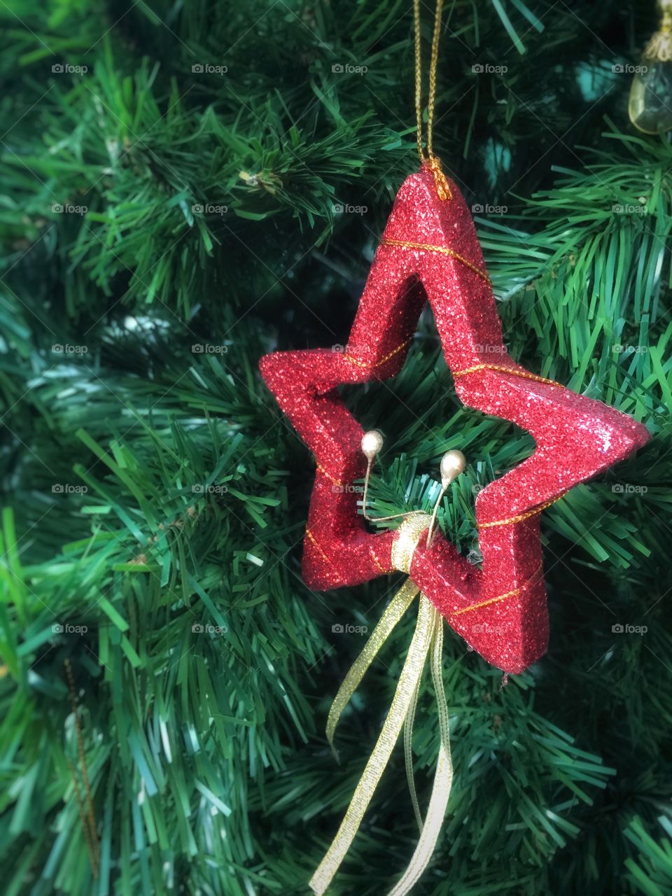 Decoration on pine tree