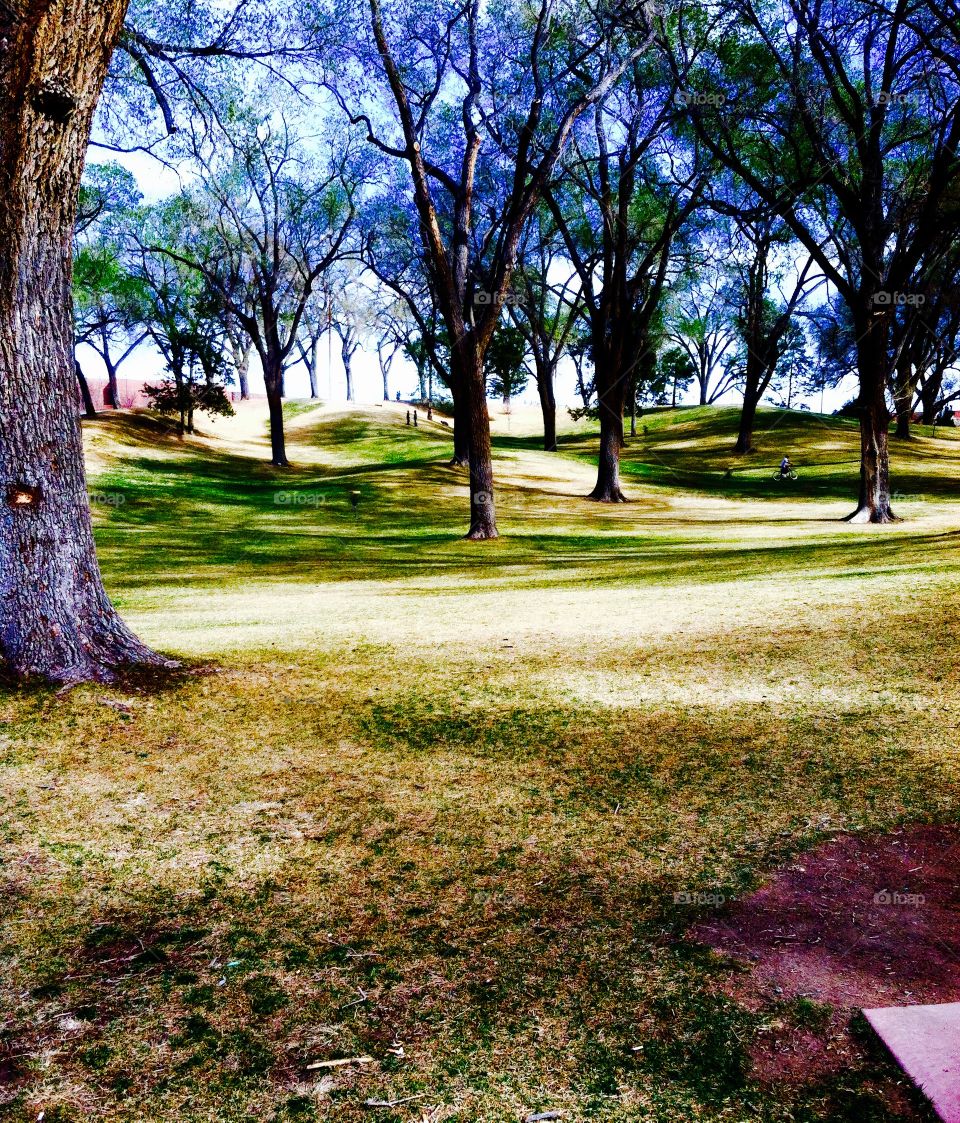 New Mexico park in Albuquerque 