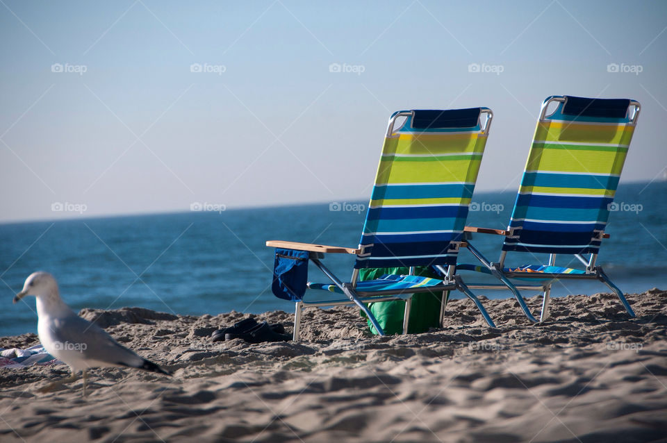 Two lawn chairs and a seagull on the beach in California