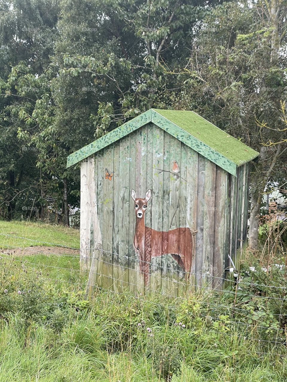 Artistic hut makeover 🦌