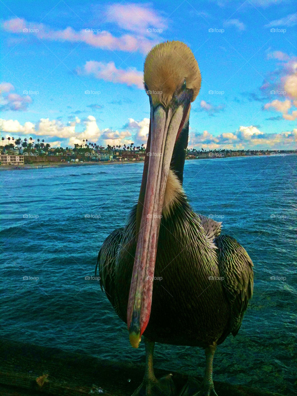 ocean sky nature clouds by itsAus