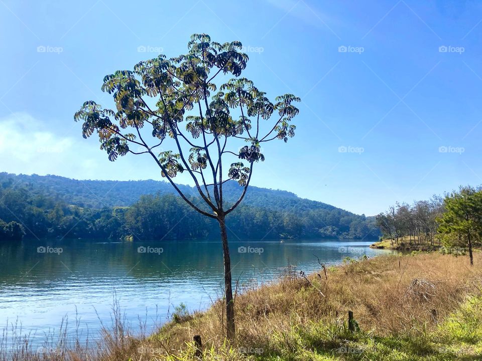 No intervalo das minha aulas, vim espairecer aqui na Represa de #Mairiporã. Tá bonito ou não o visual?
As #águas relaxam…
📸
#FOTOGRAFIAéNOSSOhobby
#lago #lake #natureza #paisagem #landscapes #inspiration