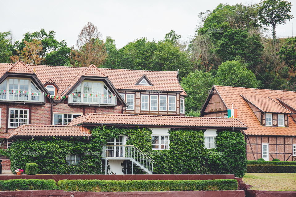 Soooo green! I love it!