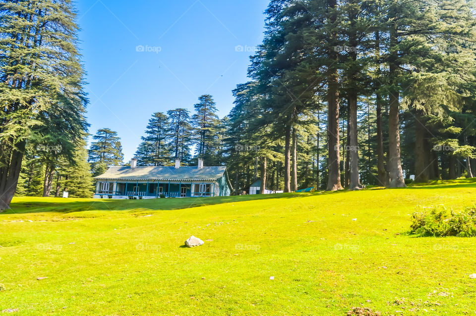 cottage in hill station of grass field in park or garden surrounded with green tree place for relaxing exercise running or walking in park with blue sky and tall trees vacation holiday concept