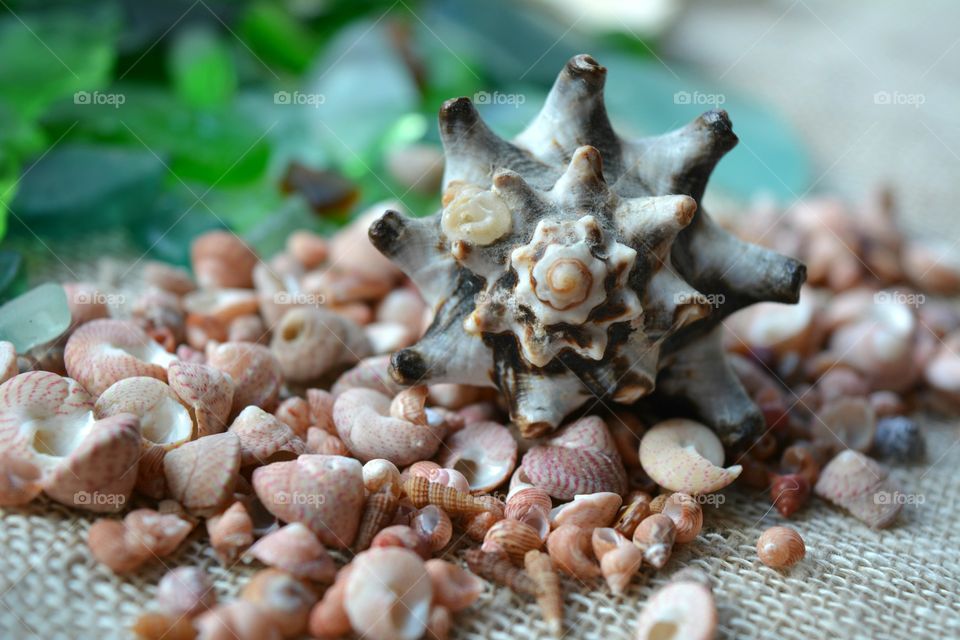 Food, Desktop, Closeup, Nature, Healthy