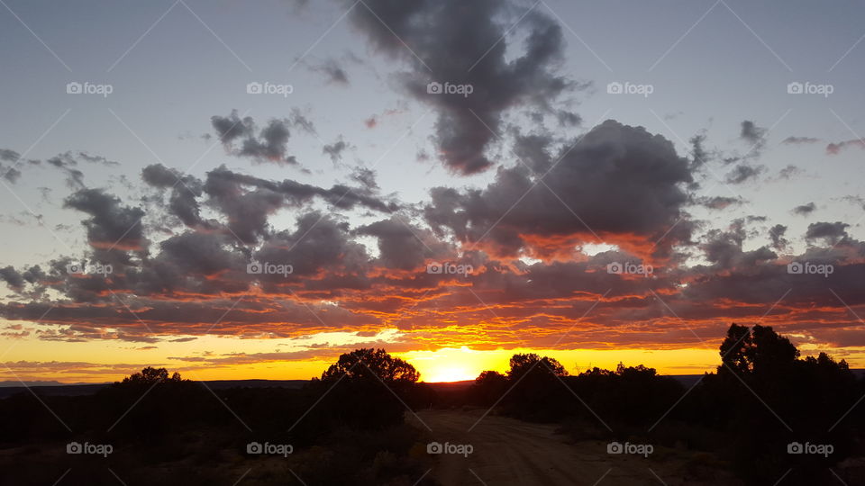 Choke Cherry Canyon Sunset