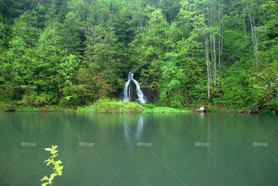 Summer Carpathian Mountains. On the forest lake 