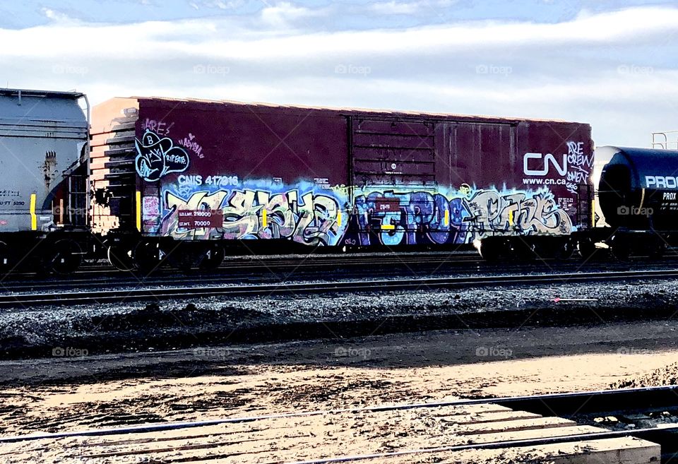 Graffiti on train cars. My daily view during a job I was on at a CN Rail Yard. 