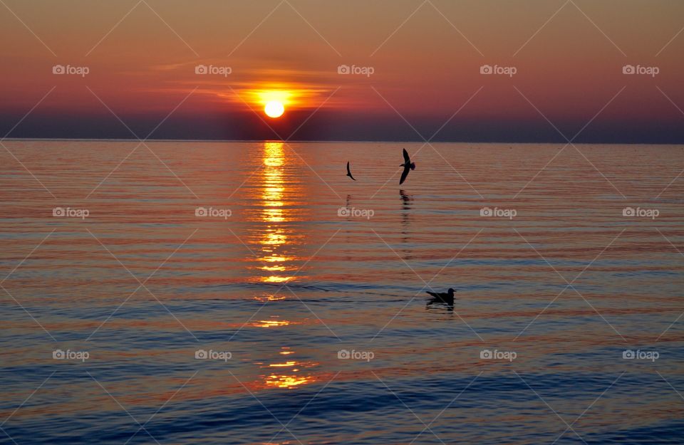 Sunset, Dawn, Water, Sun, Evening