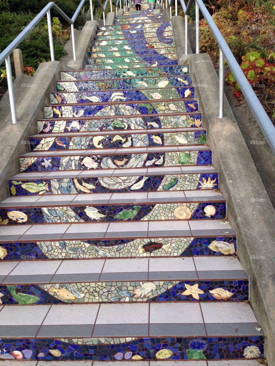 Mosaic Steps