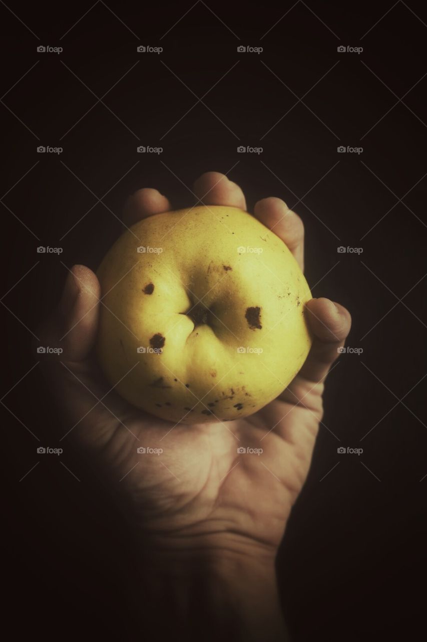 Quince in hand