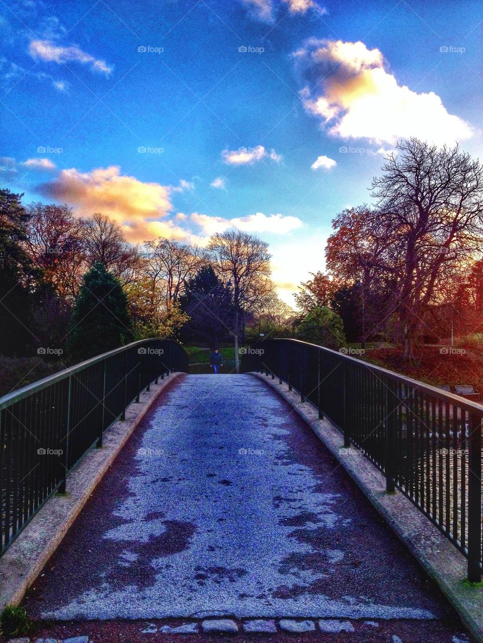 Bridge over water