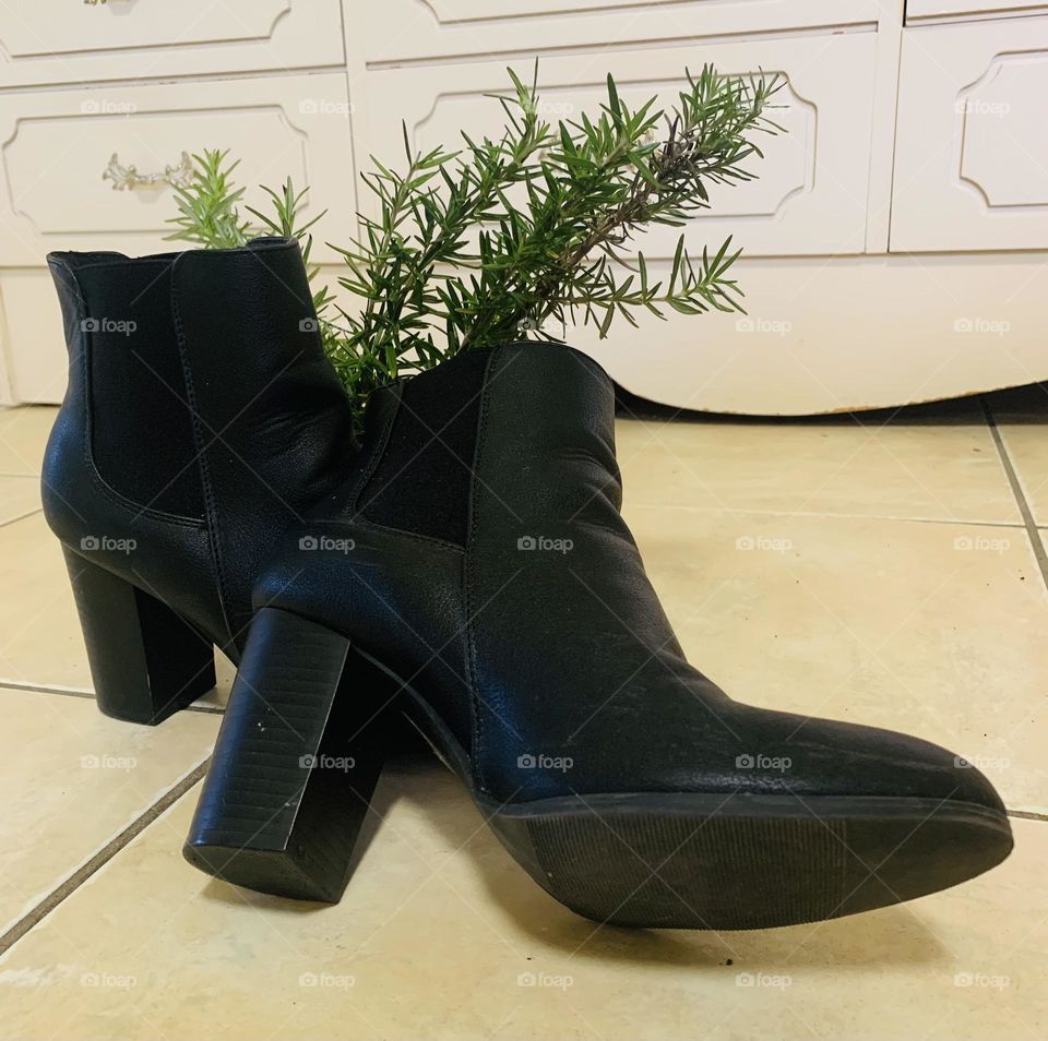  “To take the road less traveled, I'll need new boots.” – Unknown