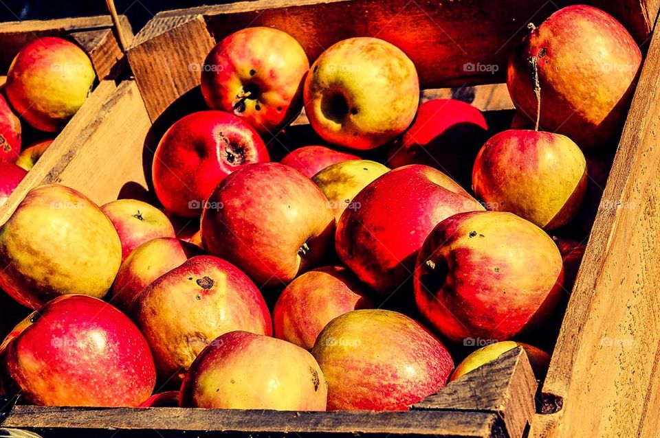 Farmers Market