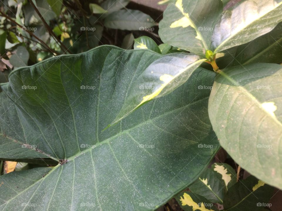 Rain Dusty dirt merapi mount in yogyakarta