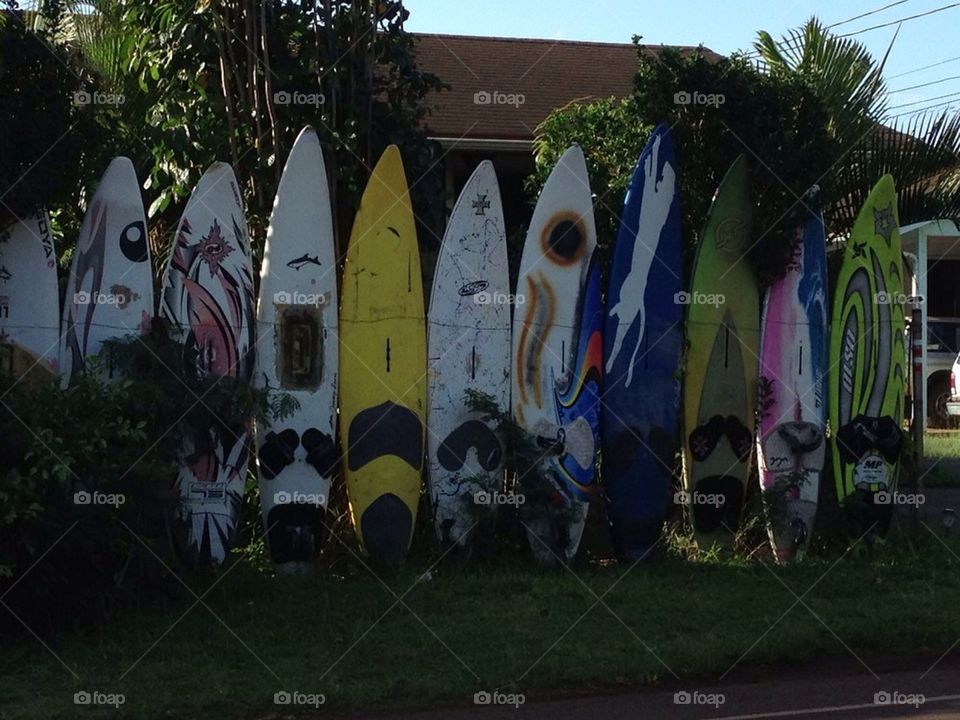 Surfboard Fence