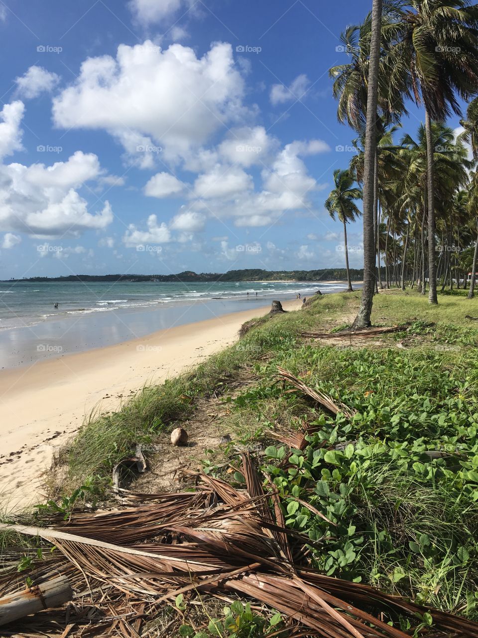 Praia em Pernambuco - Brazil, sendo um local muito visitado por surfistas próximos a Recife. 