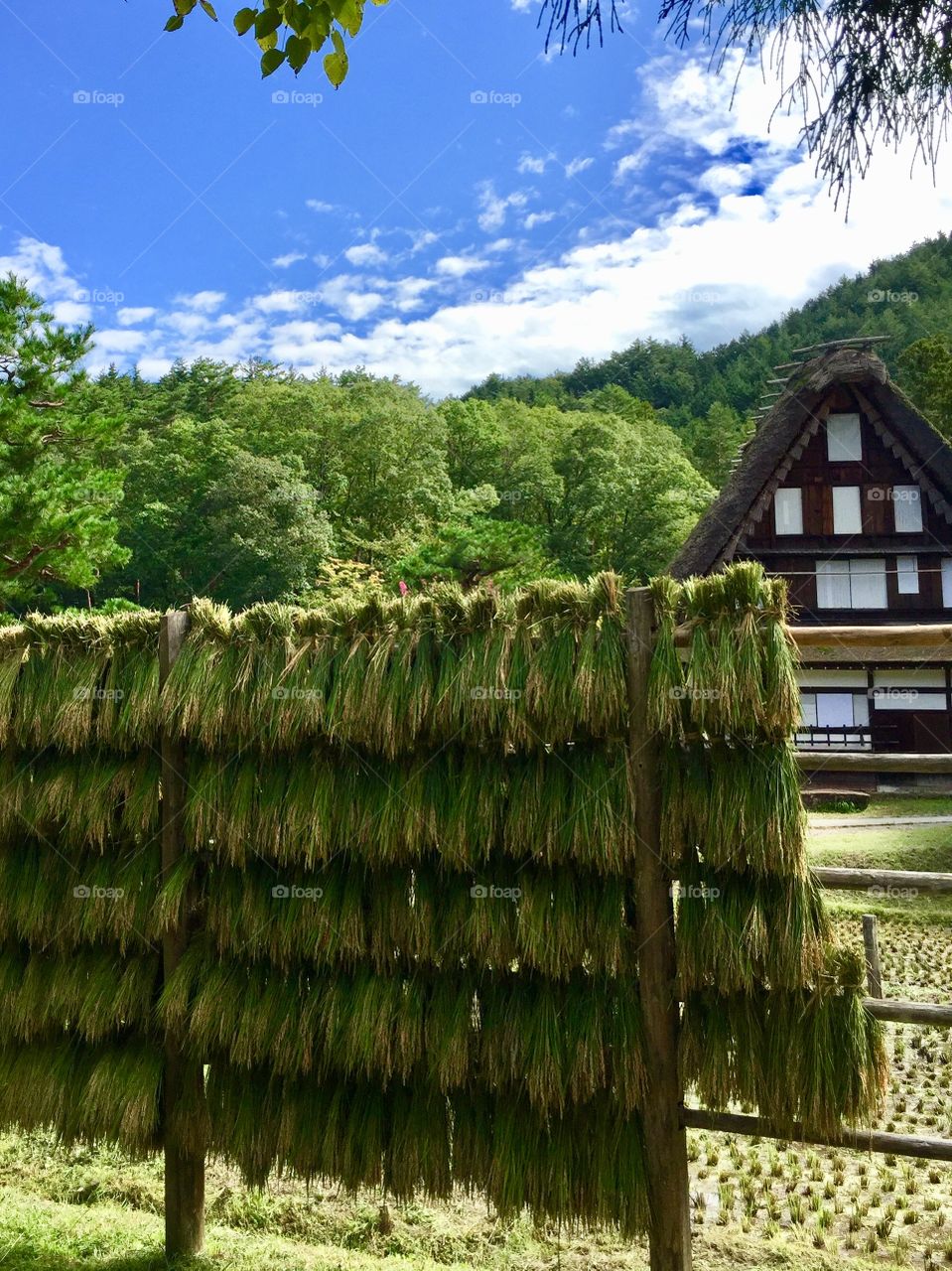 old Japanese  country house