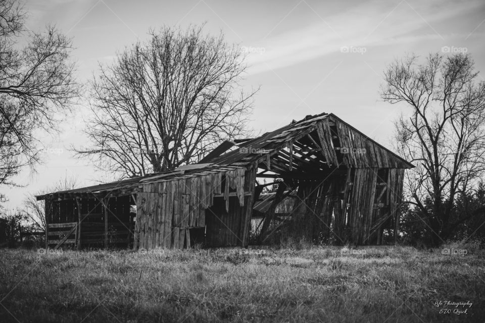 Old Barn SE Of Sedalia MO