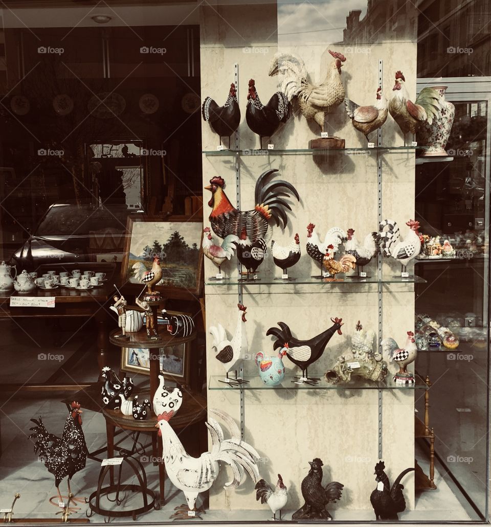 Collection Chicken Cocks