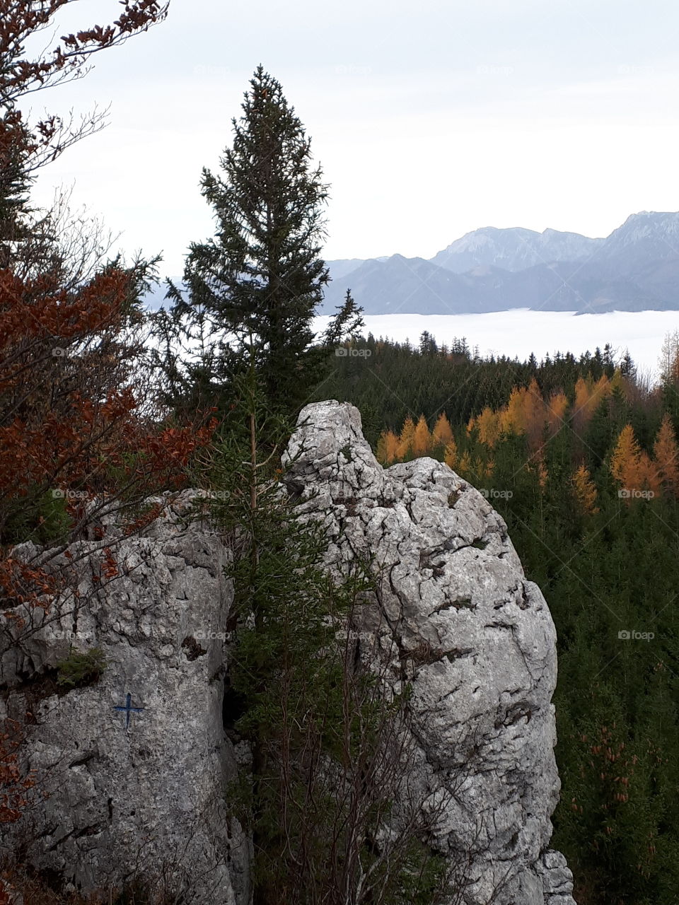 Am Schabenreitnerstein