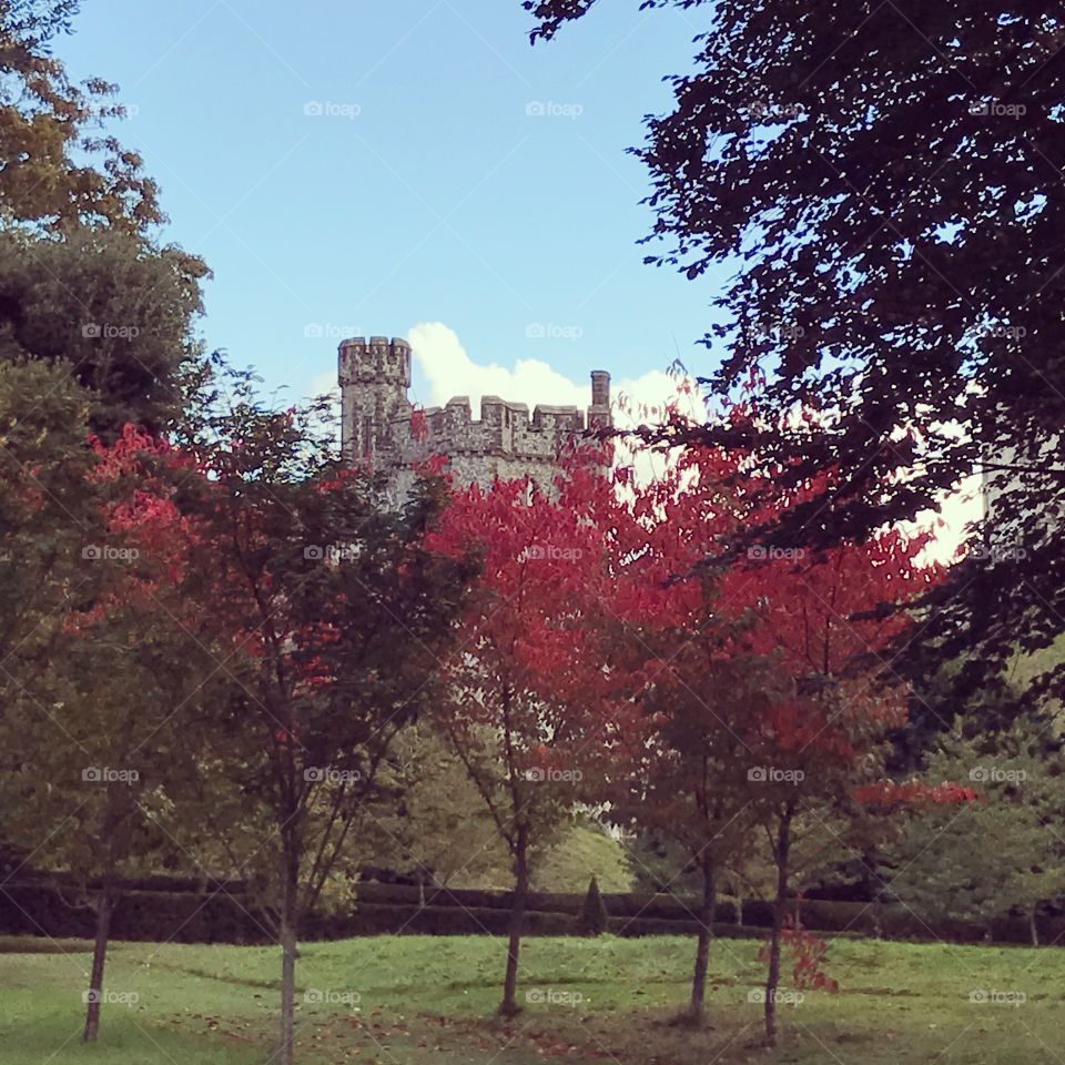 Arundel castle, England, October 2016