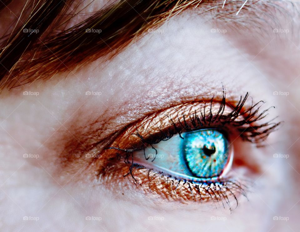 Close-Up of human eye