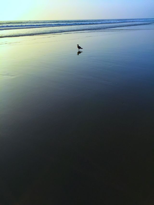 California 
