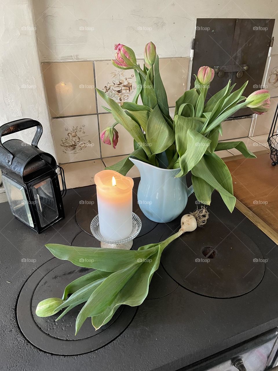 Tulipa on the stove