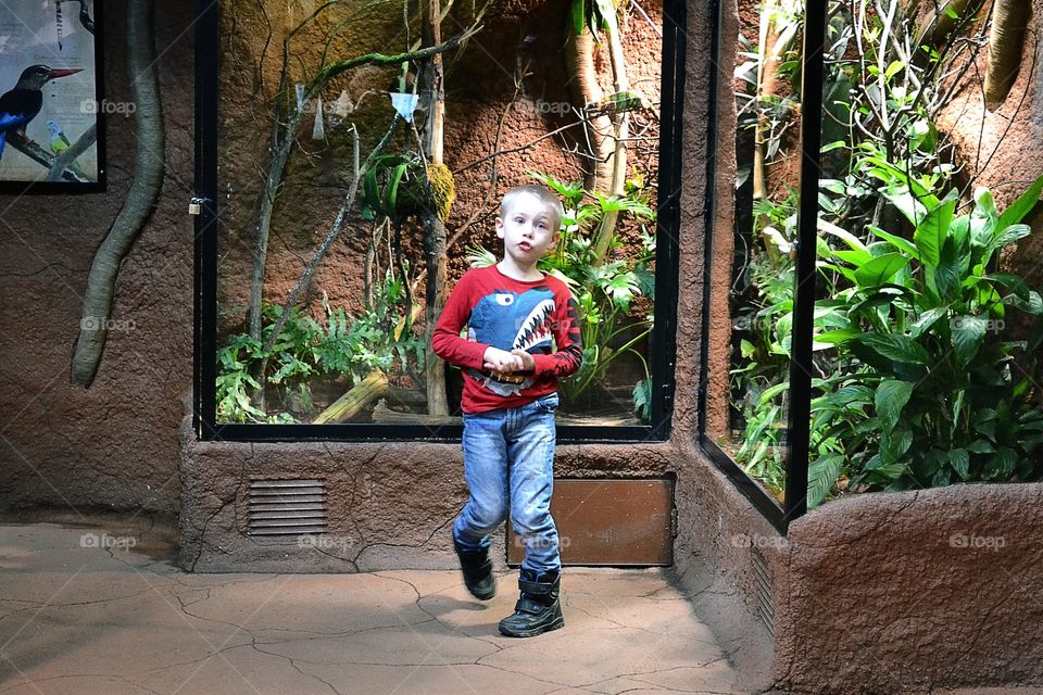 Boy at the zoo