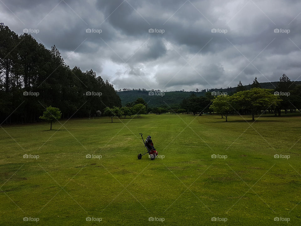 golf cart in the middle of the fairway