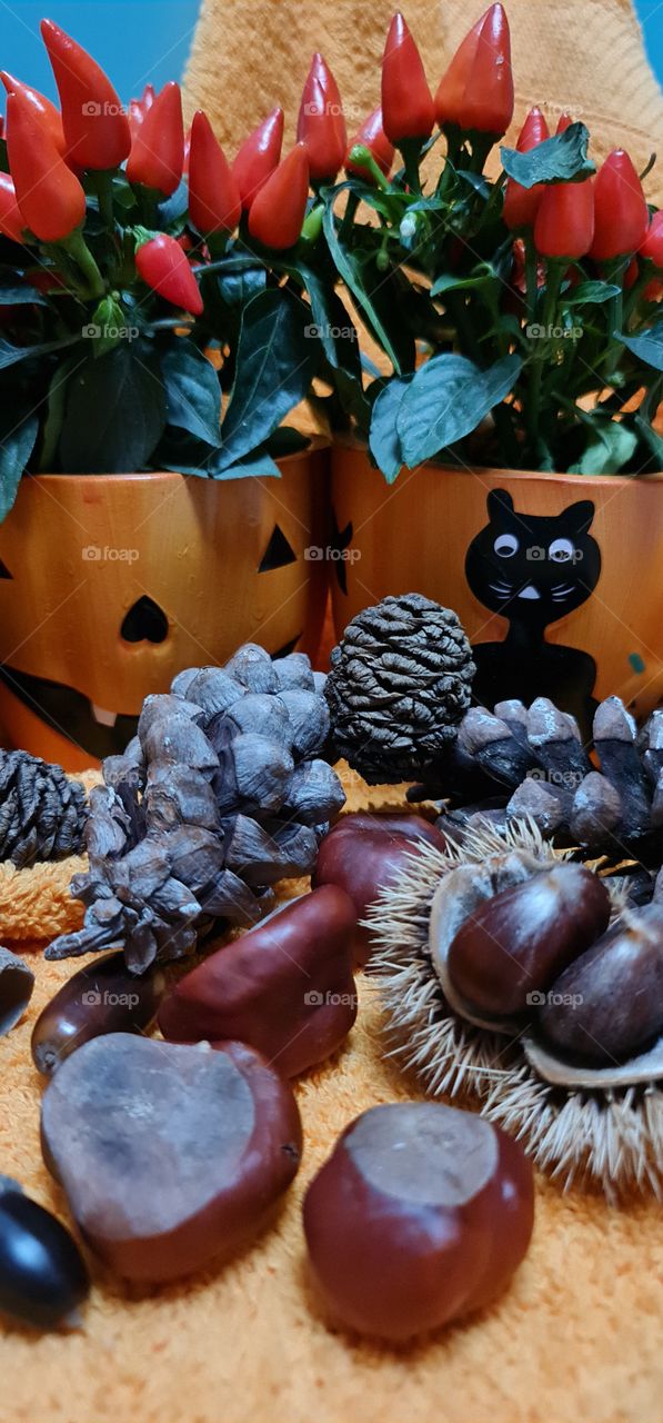 Halloween pumpkins or vases?