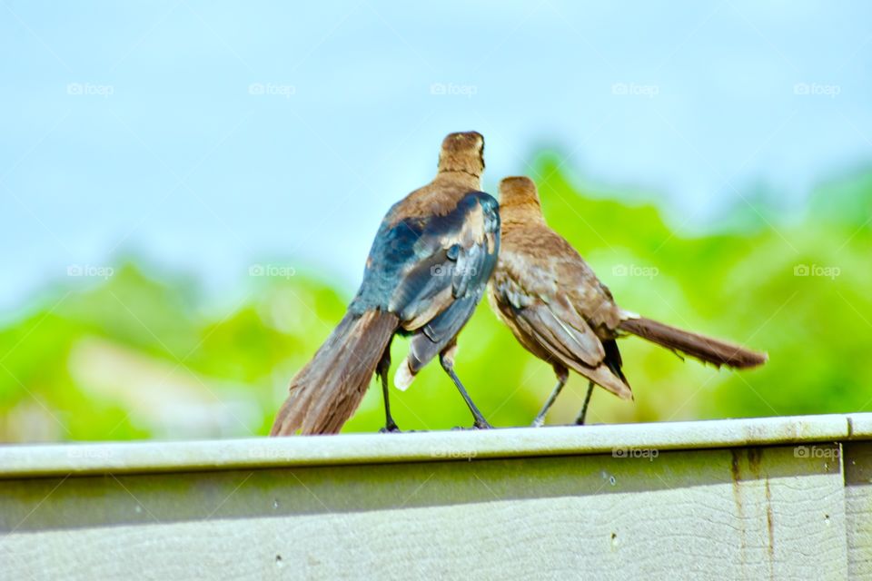 Together forever,  whatever is out there